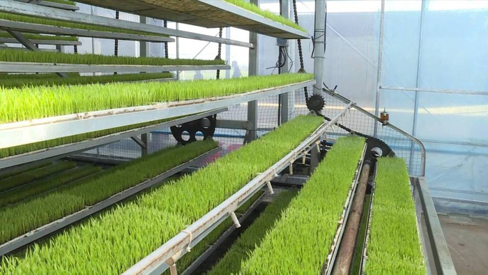从“靠天种田”到“靠科技种田” 新技术应用推动传统农业创新升级