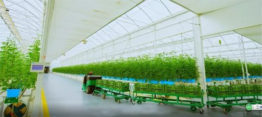 舍弃世界500强，他选择当农民 背后的真相令人动容