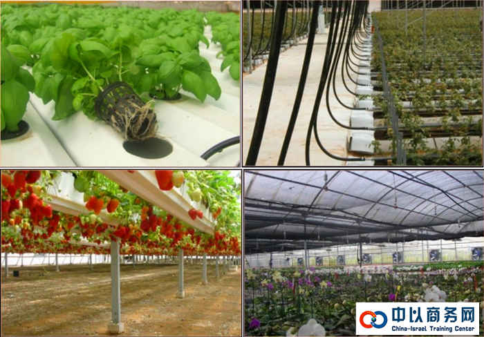 以色列DAGAN农业公司 沙漠中的科技奇迹