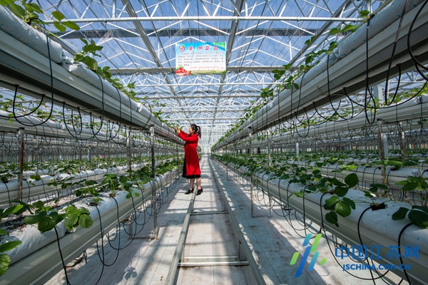 示范引领 科技赋能 盐城加快农业农村现代化建设